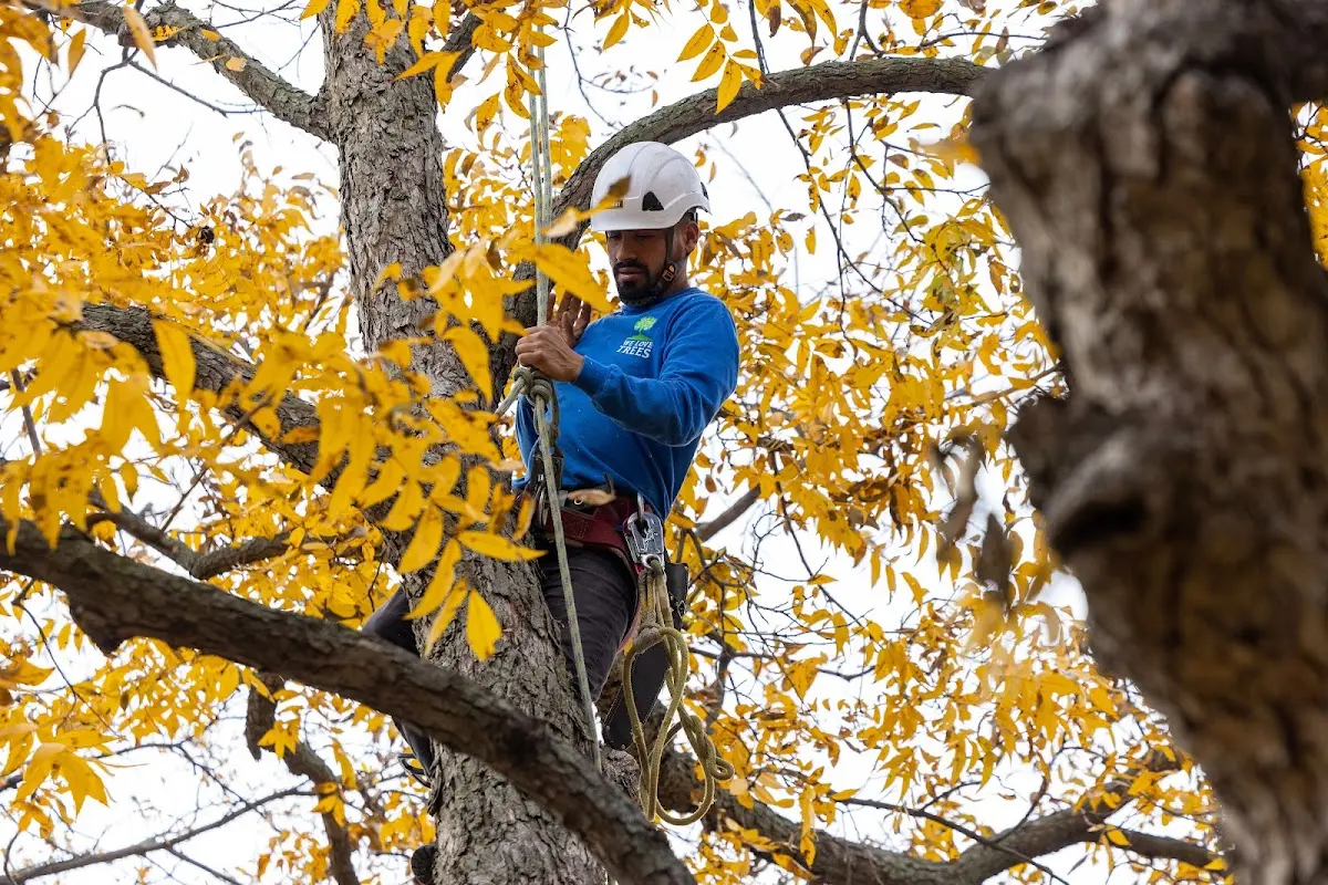 Skilled Storm Damage Cleanup crew working in Lebo