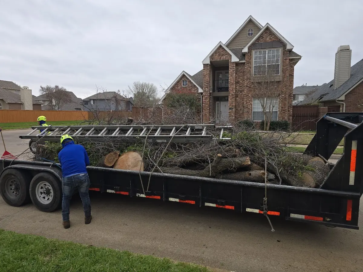 Expert Tree Pest Control with proper safety equipment in Lebo
